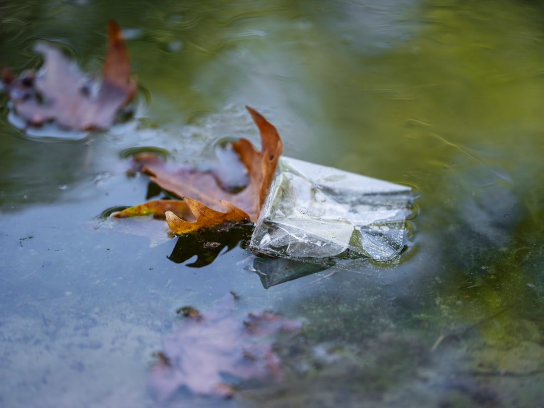 polluted river with floating plastic waste